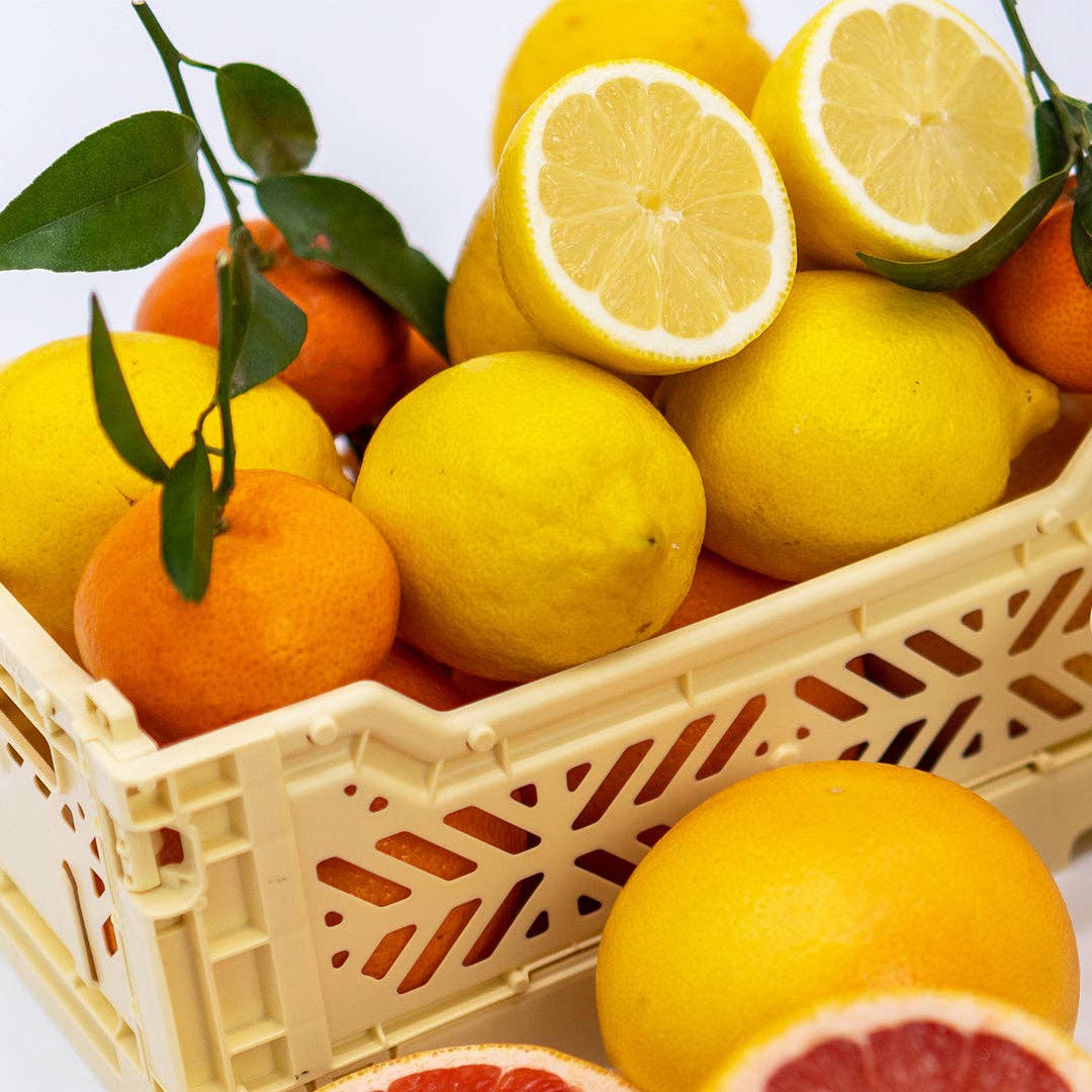 Ruby Red Grapefruit Mini Reed Diffuser