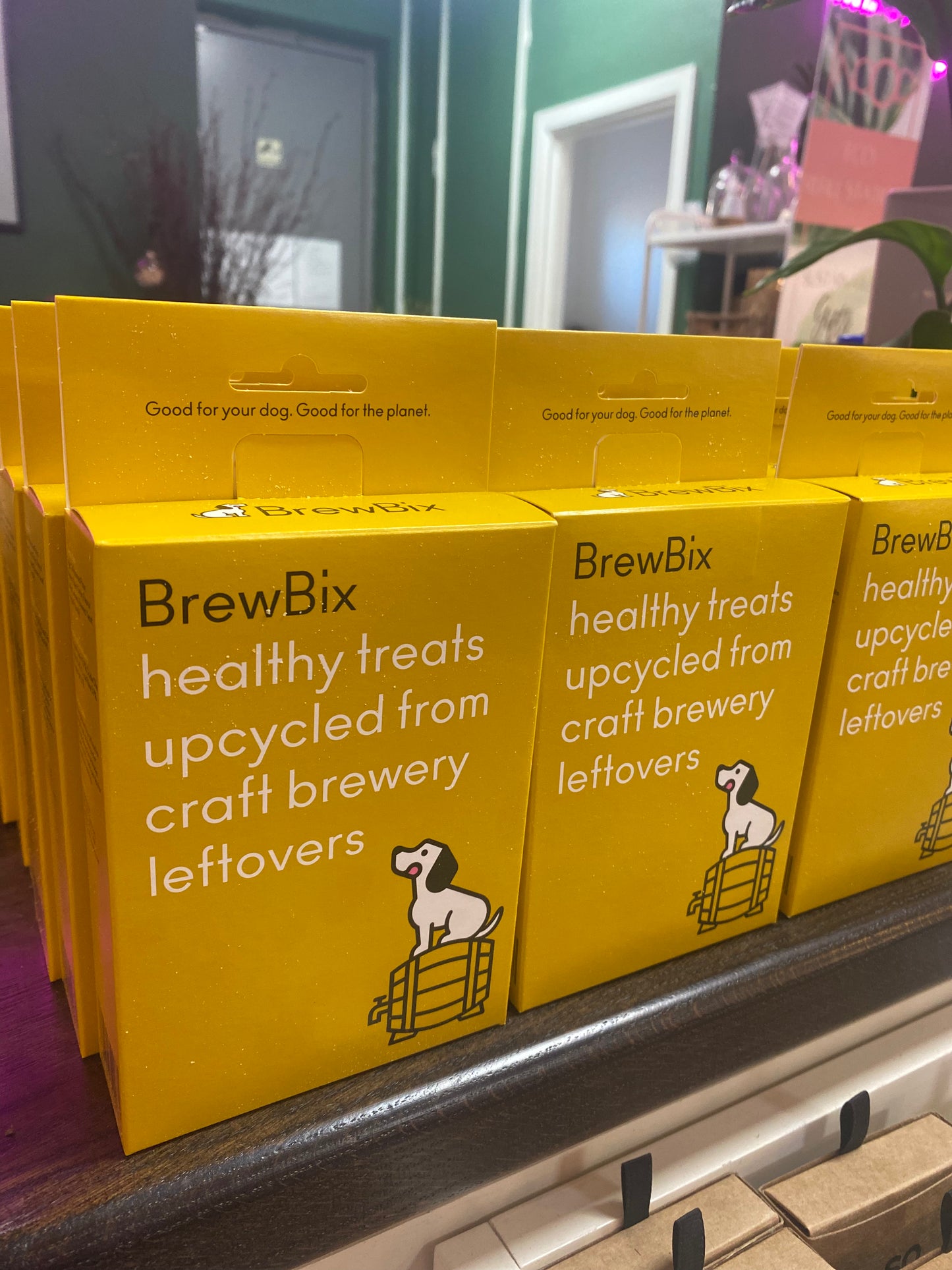 BrewBix Dog Treats