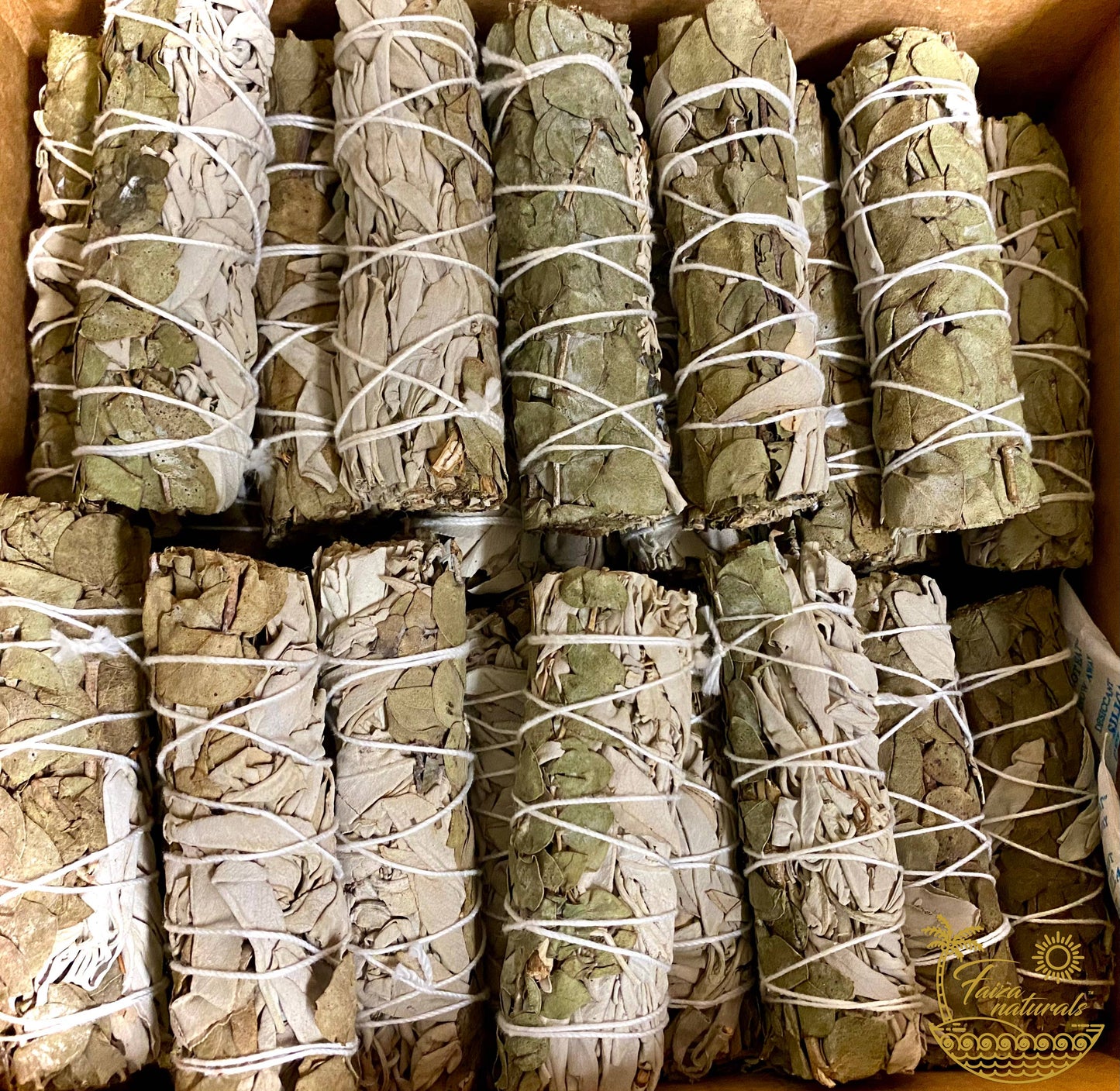 Eucalyptus and White Sage Bundle