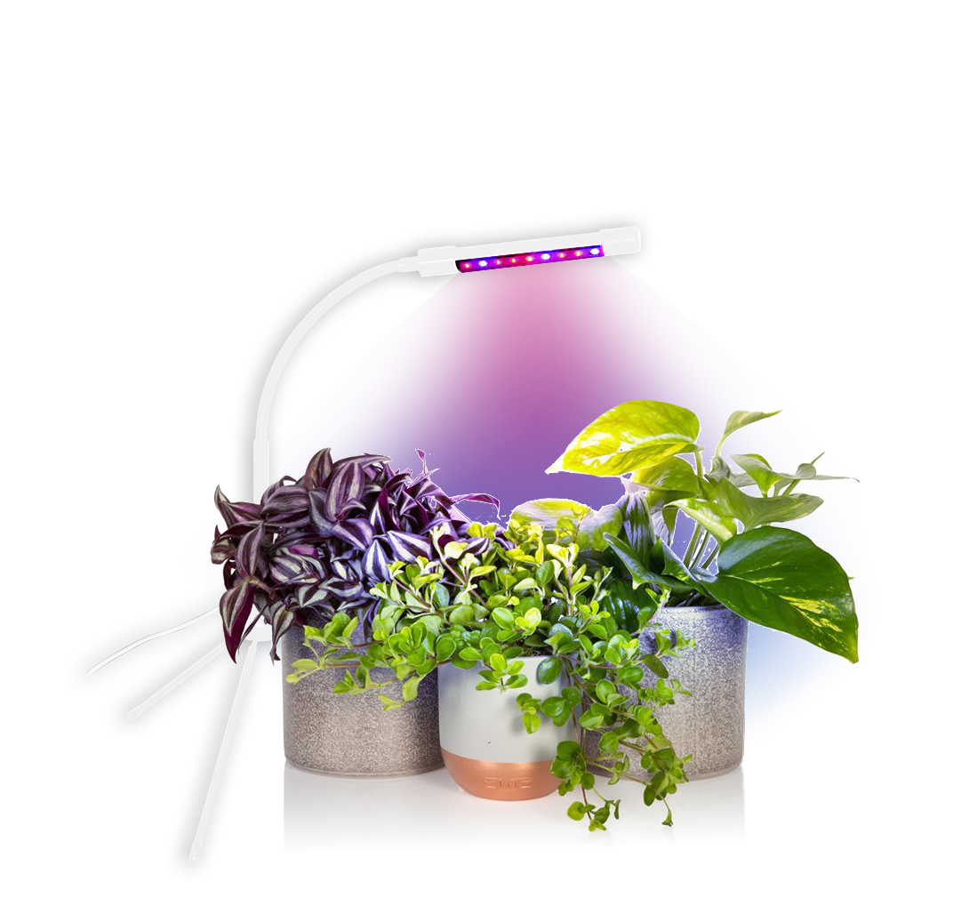 Plant Booster Grow Light