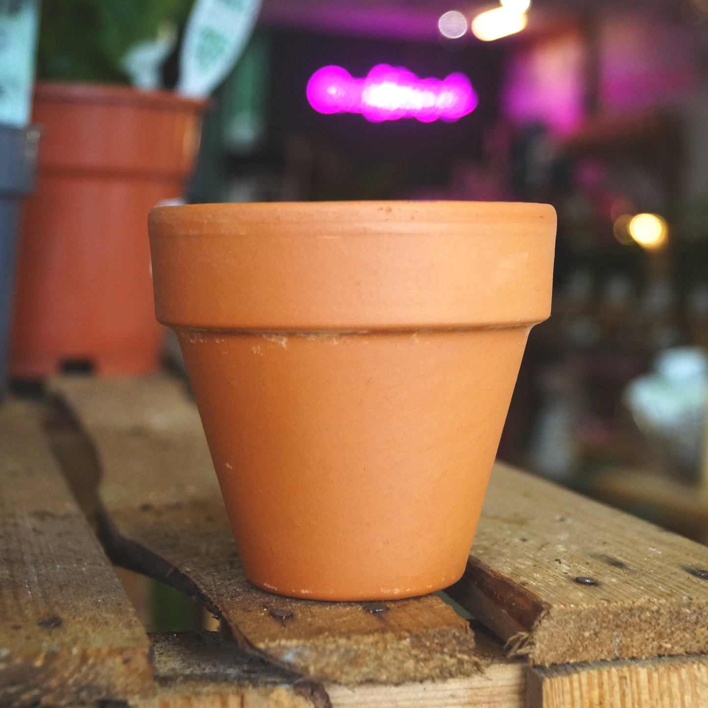Terracotta Plant Pot