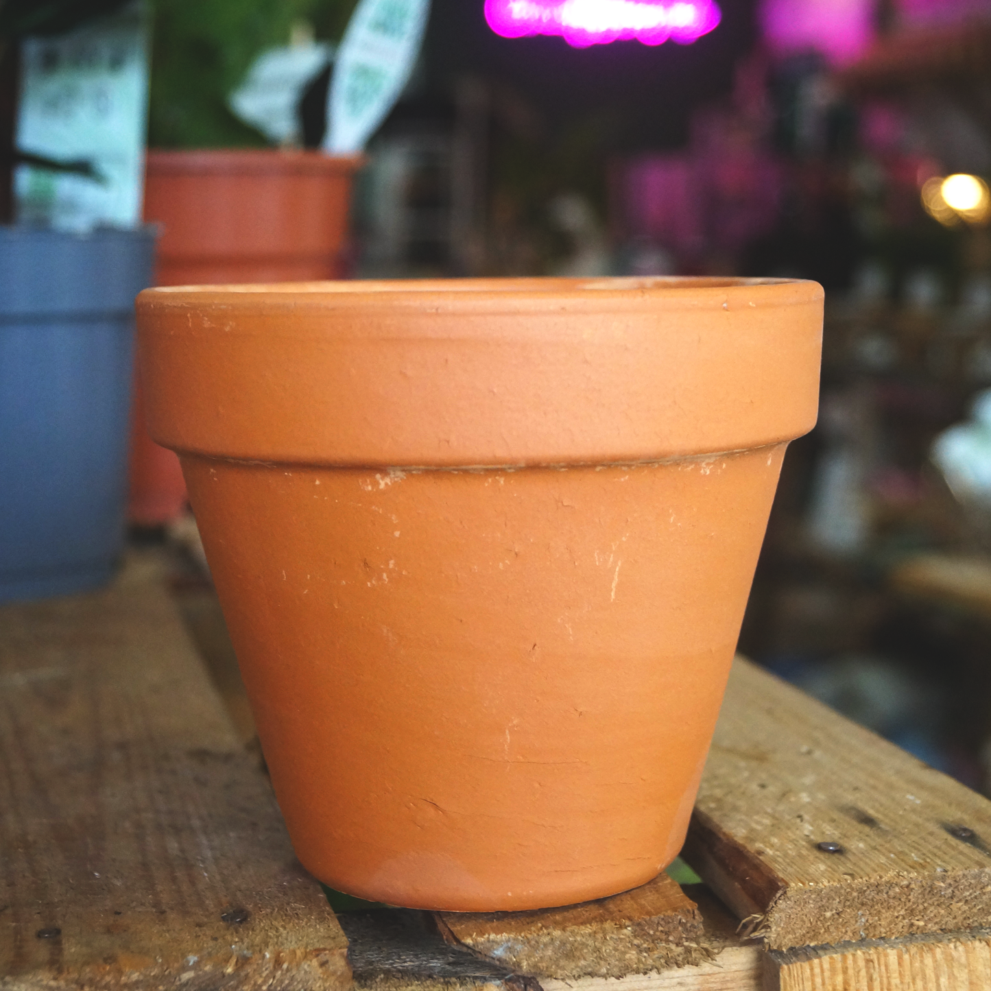 Terracotta Plant Pot