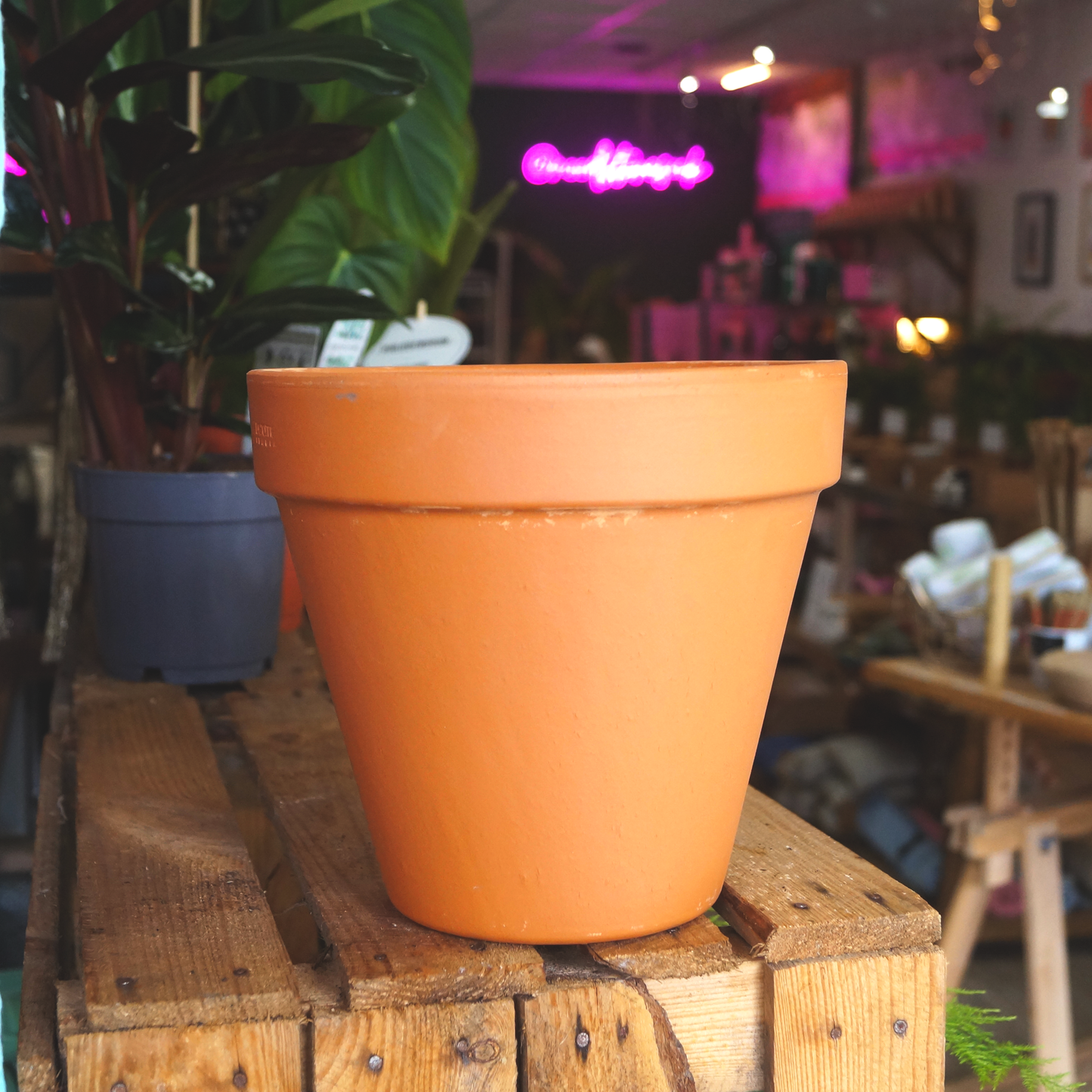 Terracotta Plant Pot