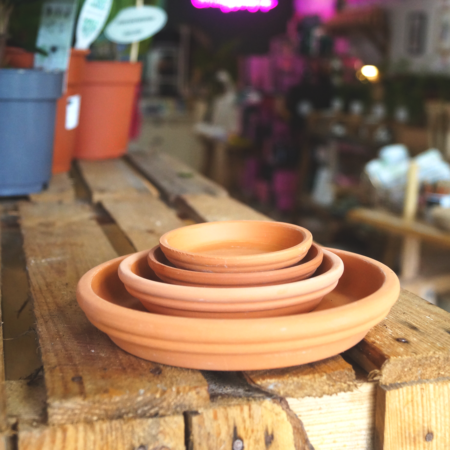 Terracotta Saucer