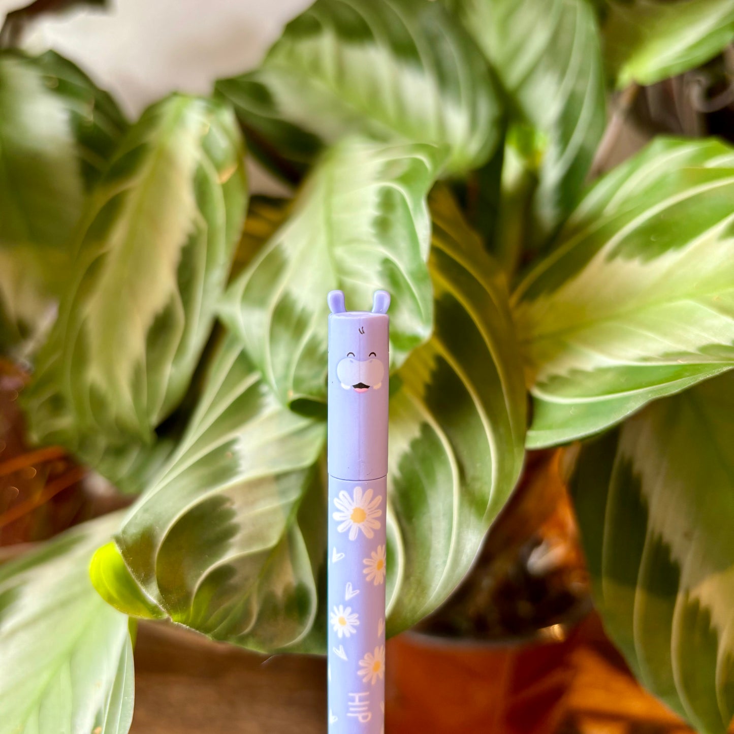 Erasable Legami Pen