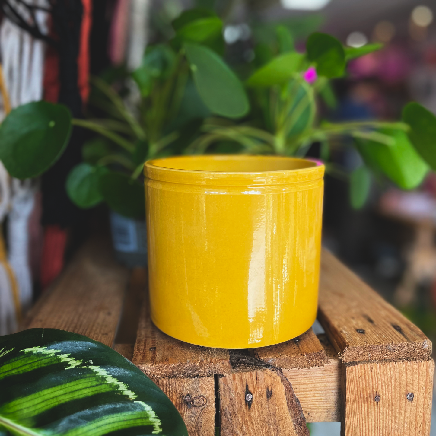 Mustard 13.5cm Pot