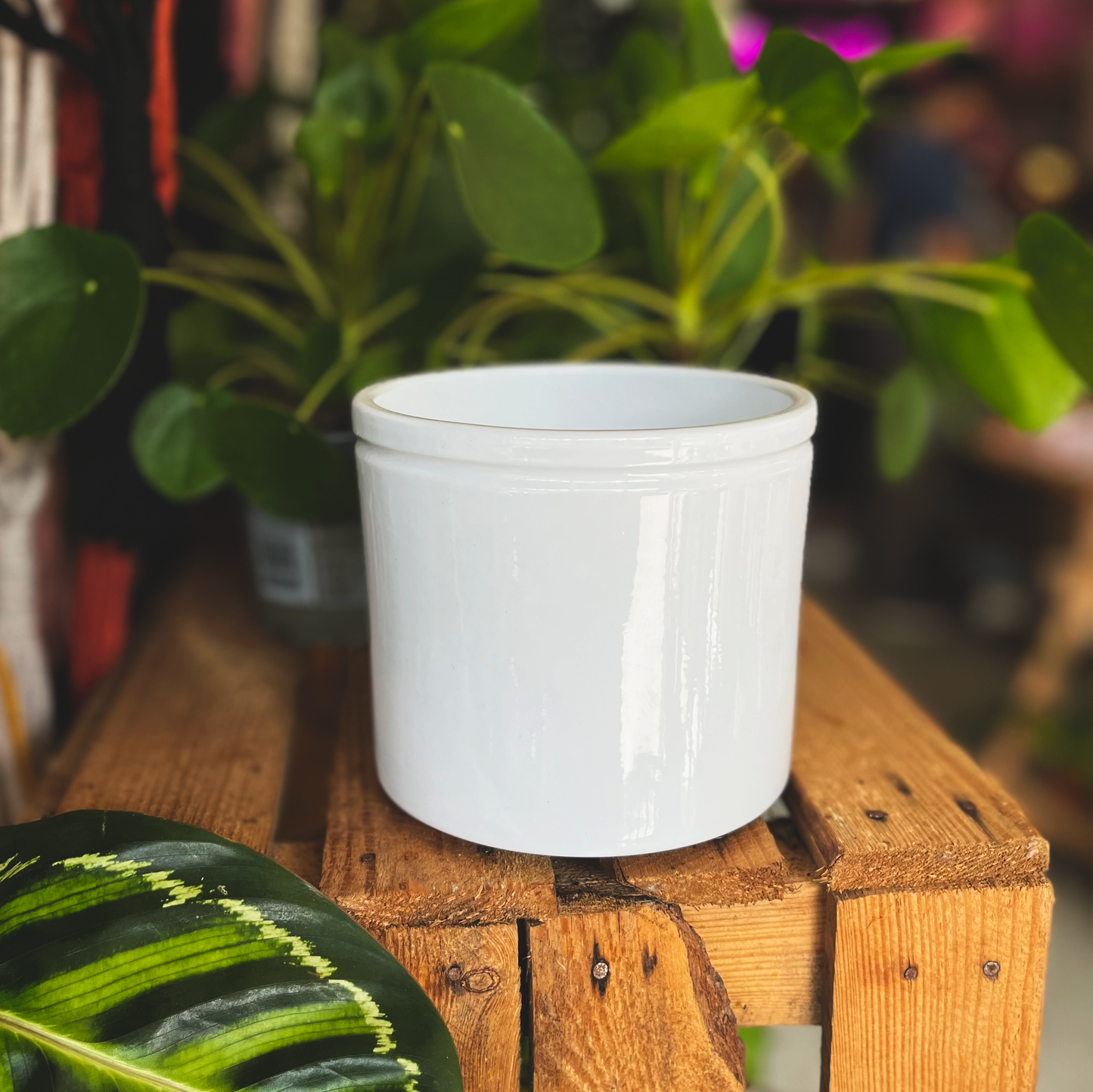 Pure White 13.5cm Pot