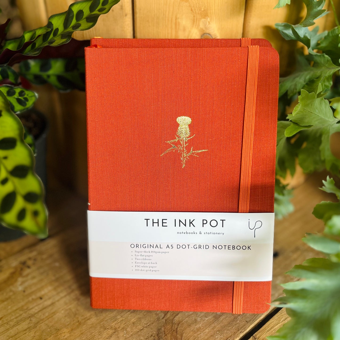 Burnt Orange Dotted Bullet Journal