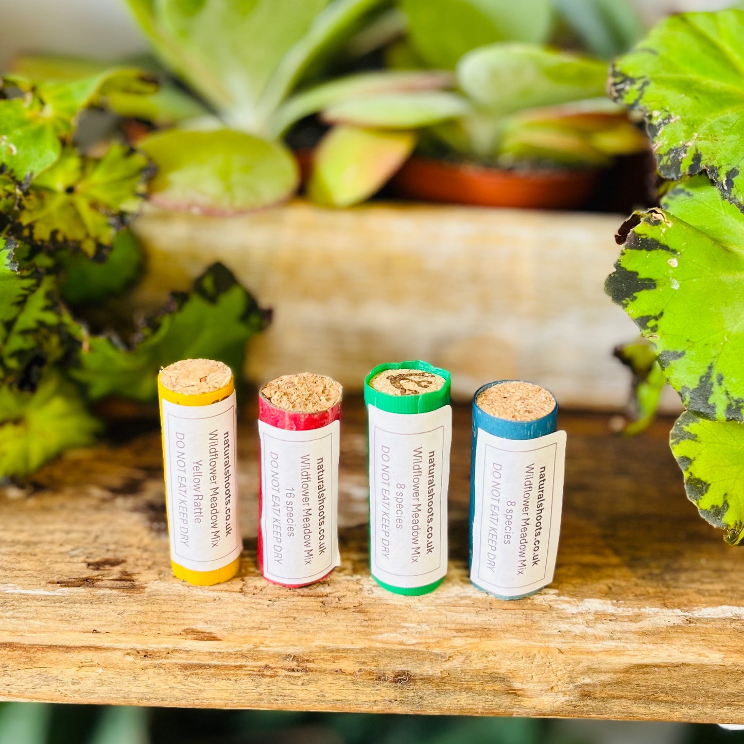 Wildflower Meadow Seed Mix (In Upcycled Cartridge Cases)