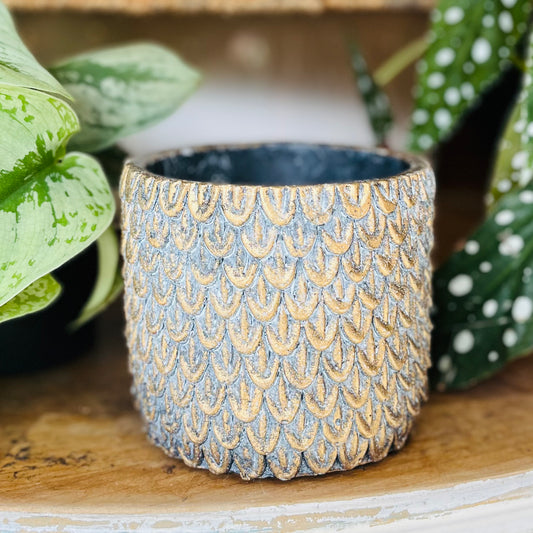 Sand Scales 12cm Plant Pot