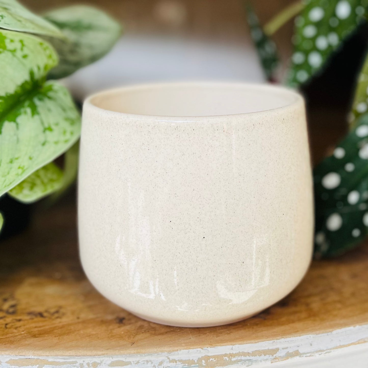 Speckled Glazed Cream 13cm Plant Pot