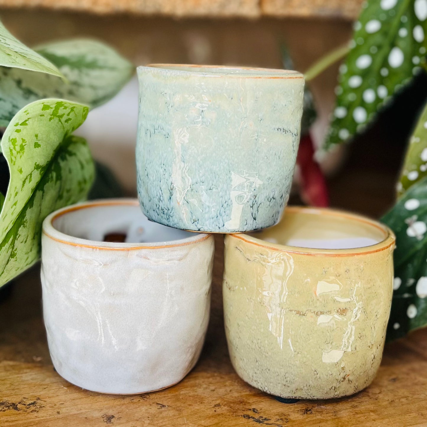 Three ceramic pots of different colors stacked on a wooden surface with plants in the background