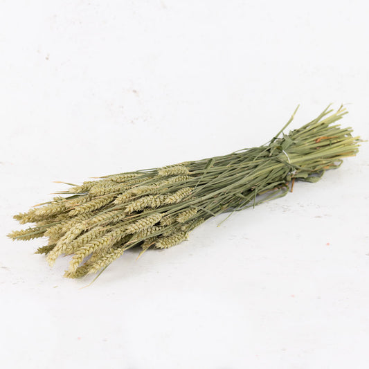 Natural Green Wheat Bunch