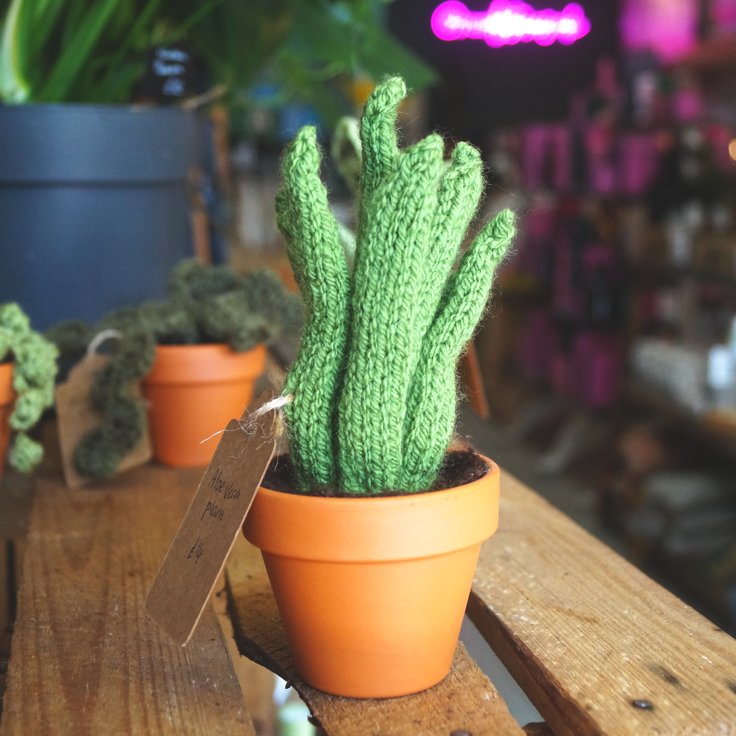 Knitted Plant
