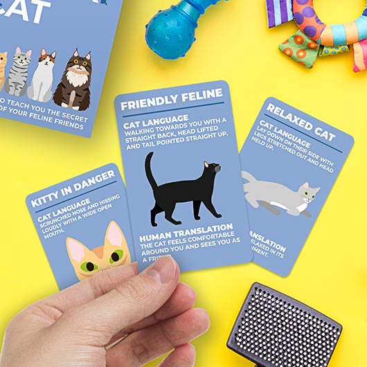 How To Speak Cat - Feline Body Language Card Deck