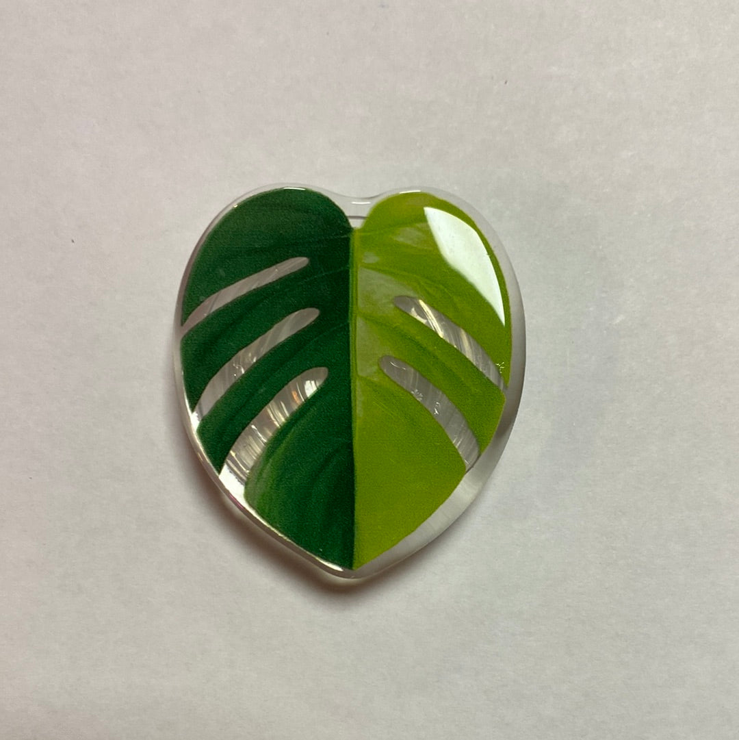 Monstera leaf phone POP