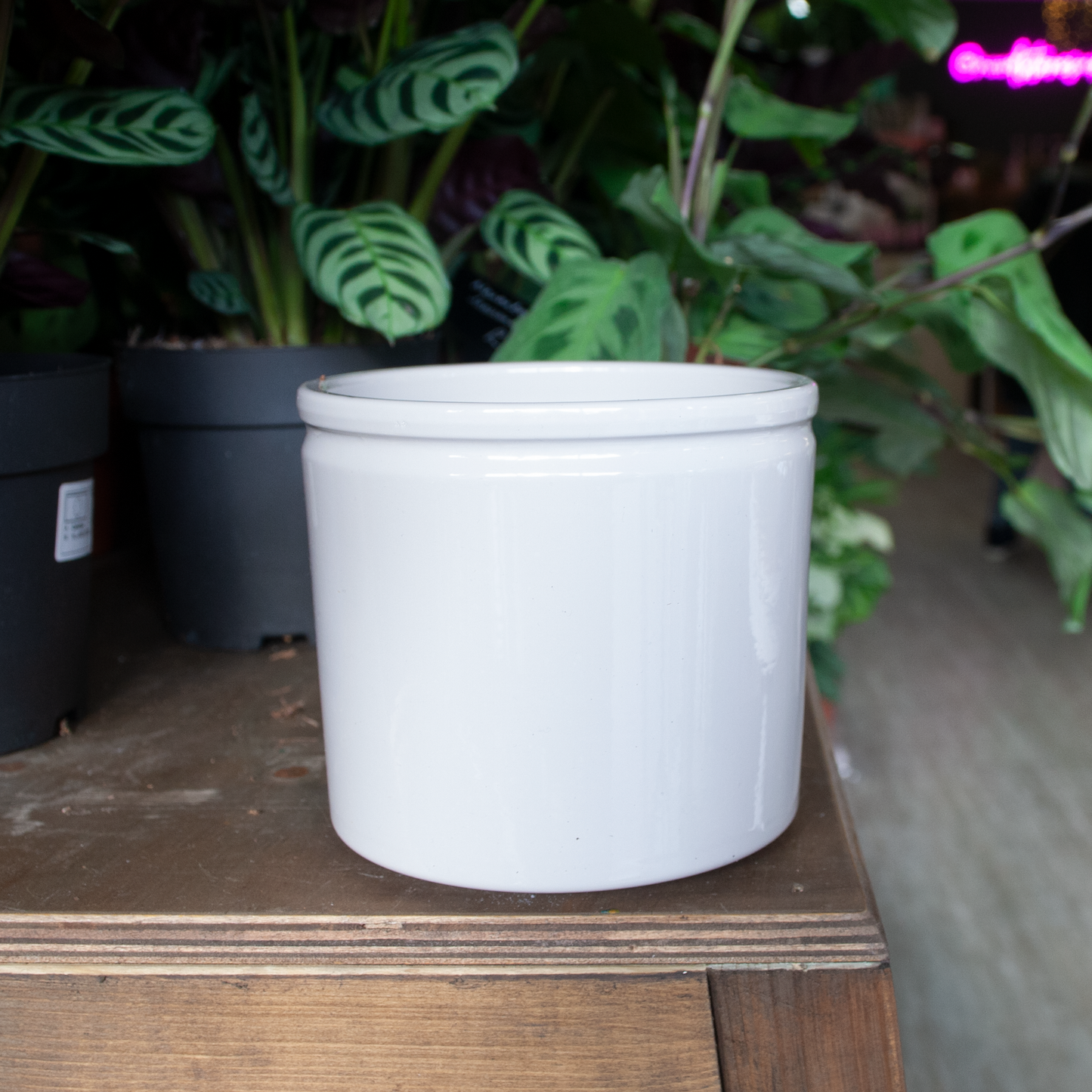 Pale/Taupe Pebble White Grey 13.5cm Pot