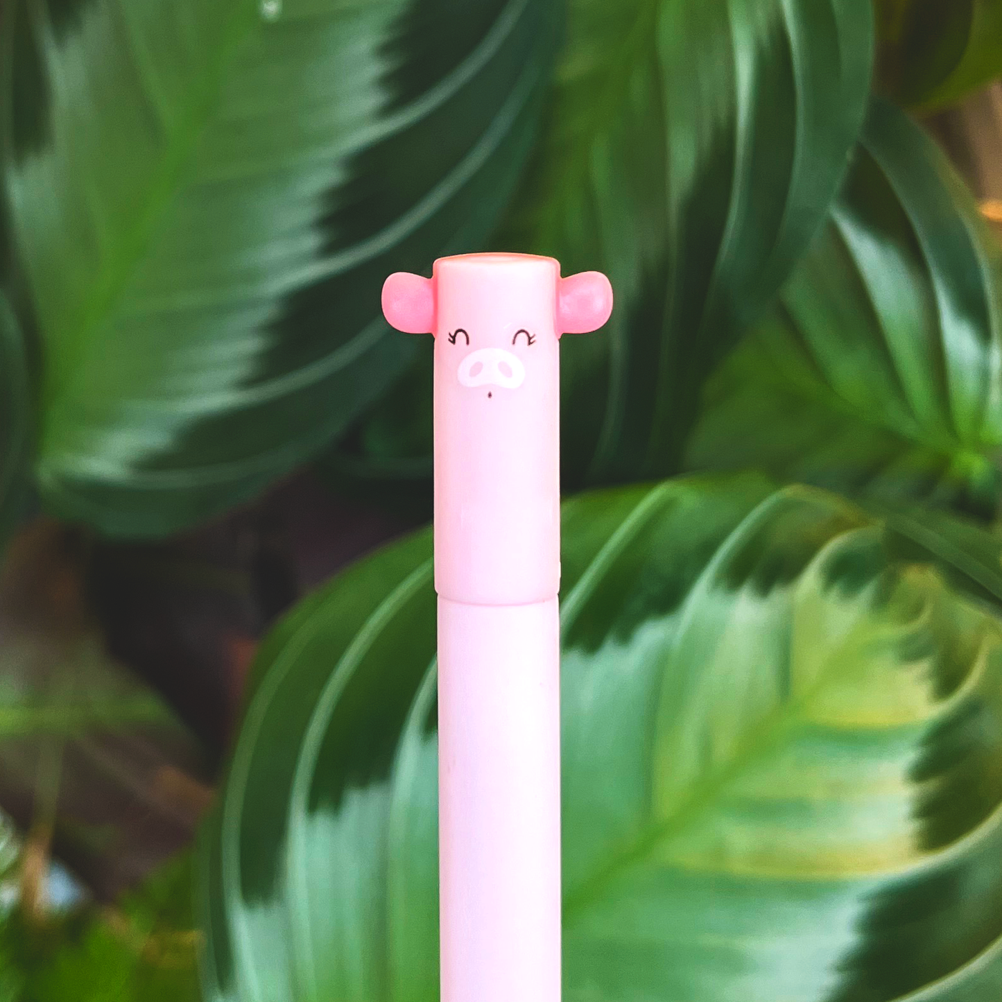 Erasable Legami Pen