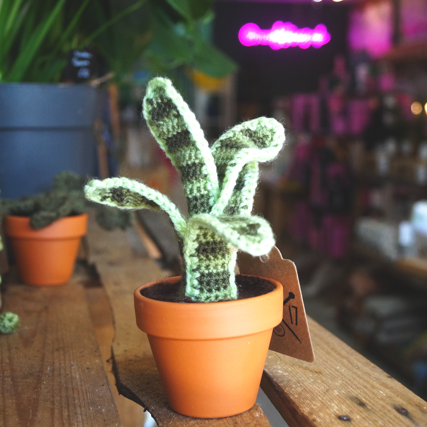 Knitted Plant