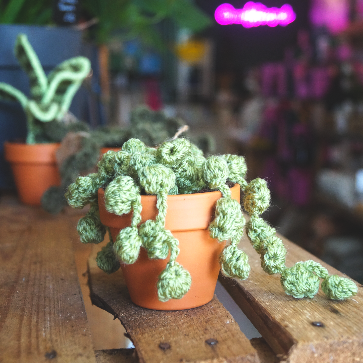 Knitted Plant