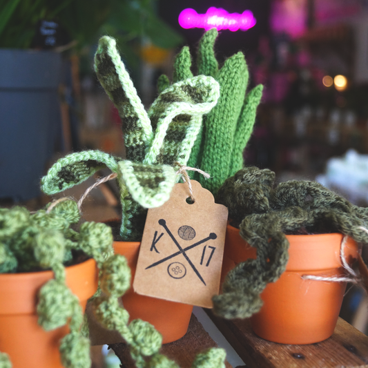 Knitted Plant