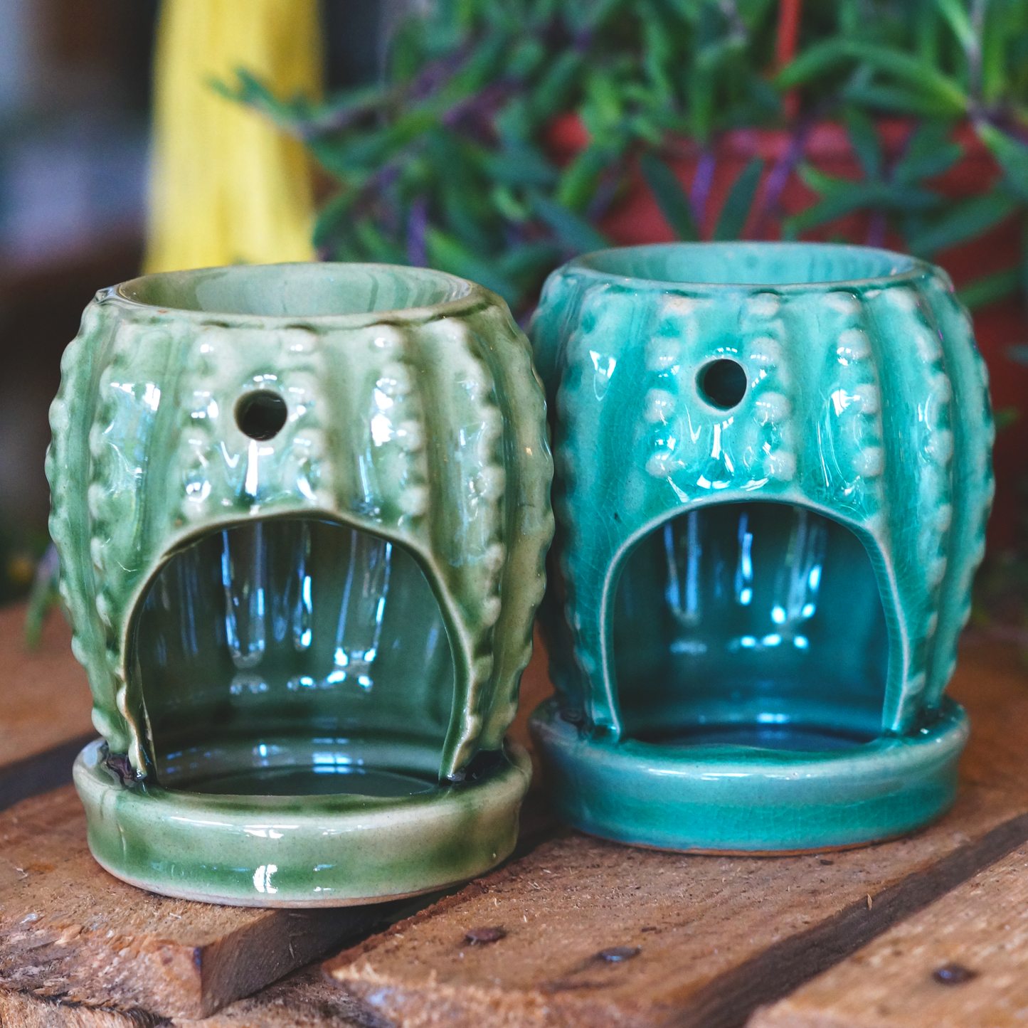 Mini Cactus Wax Burner