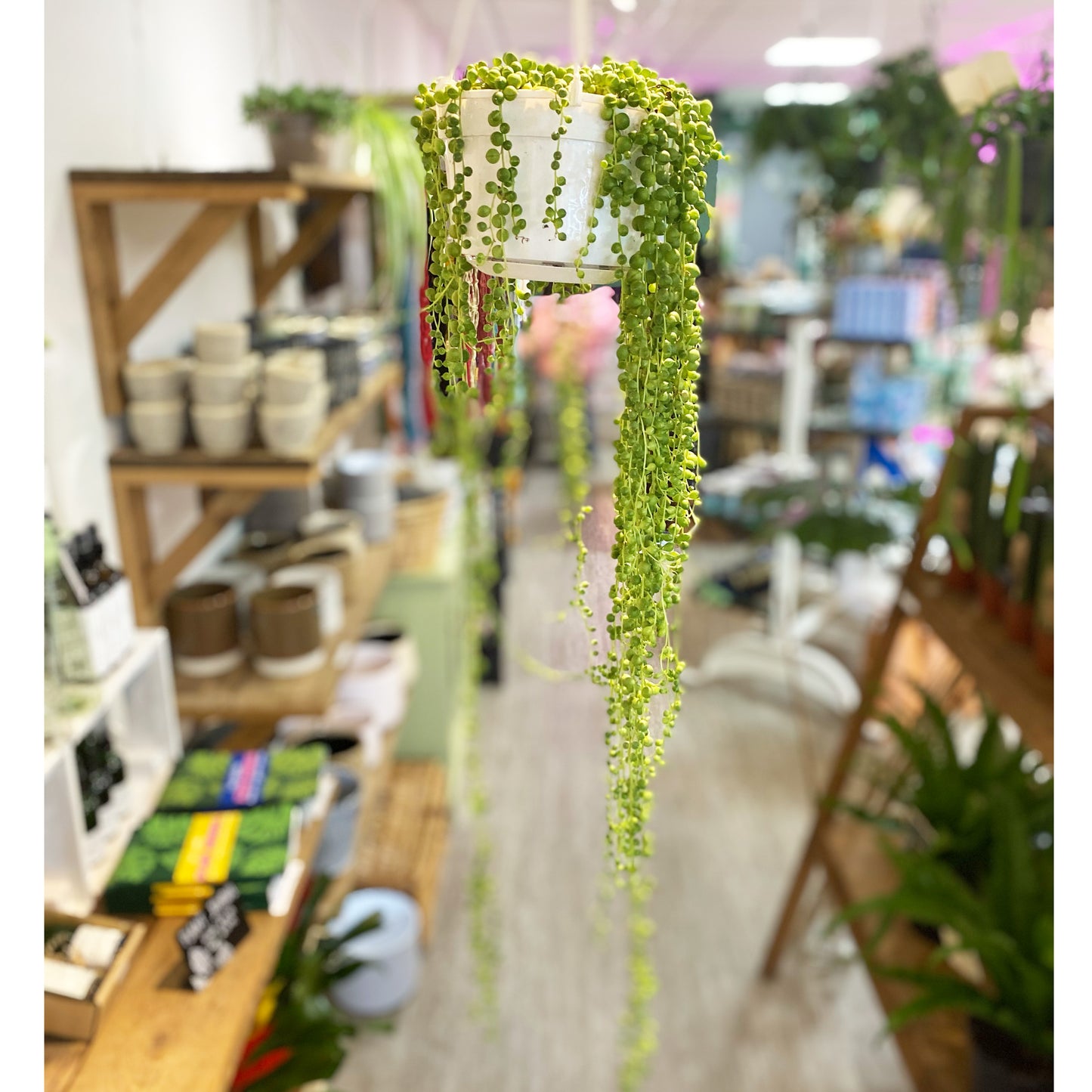 String of pearls