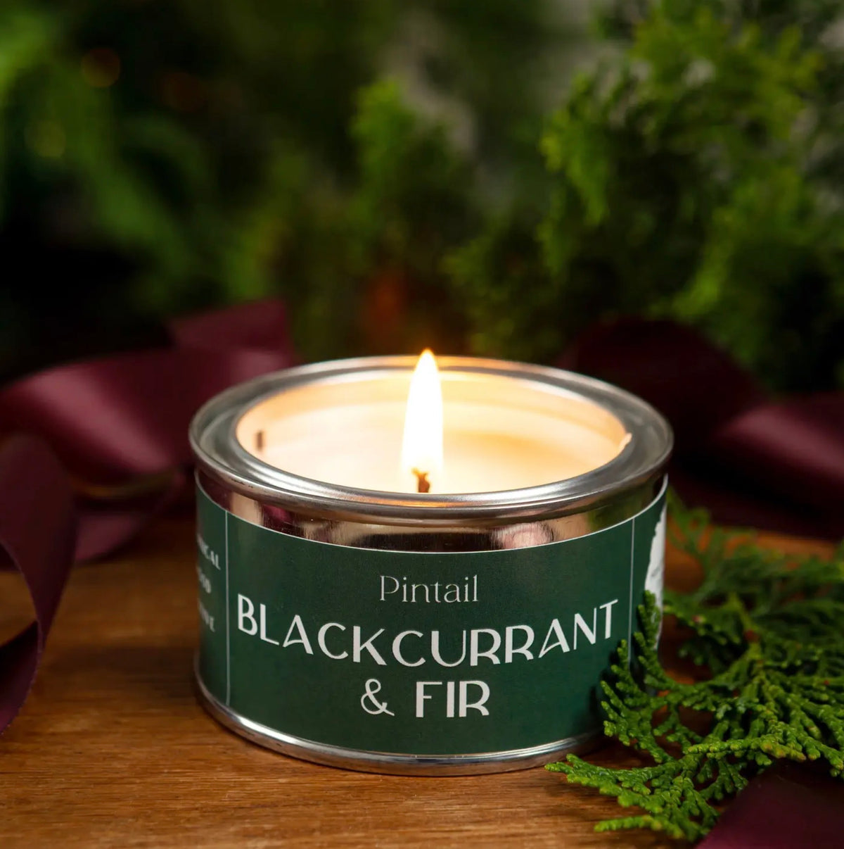 Blackcurrant & Fir Tin Candle