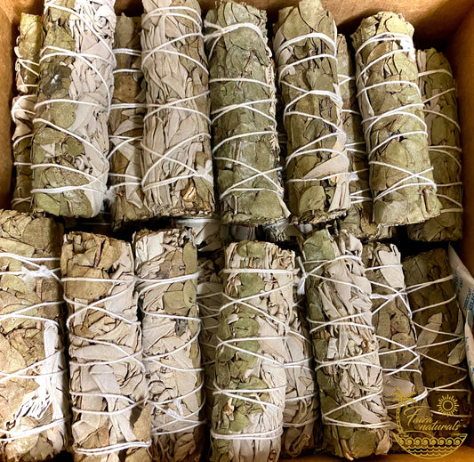 Eucalyptus and White Sage Bundle