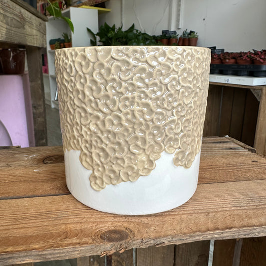 Beige Bloom Pot 12cm