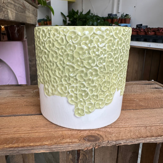 Green Bloom Pot 12cm