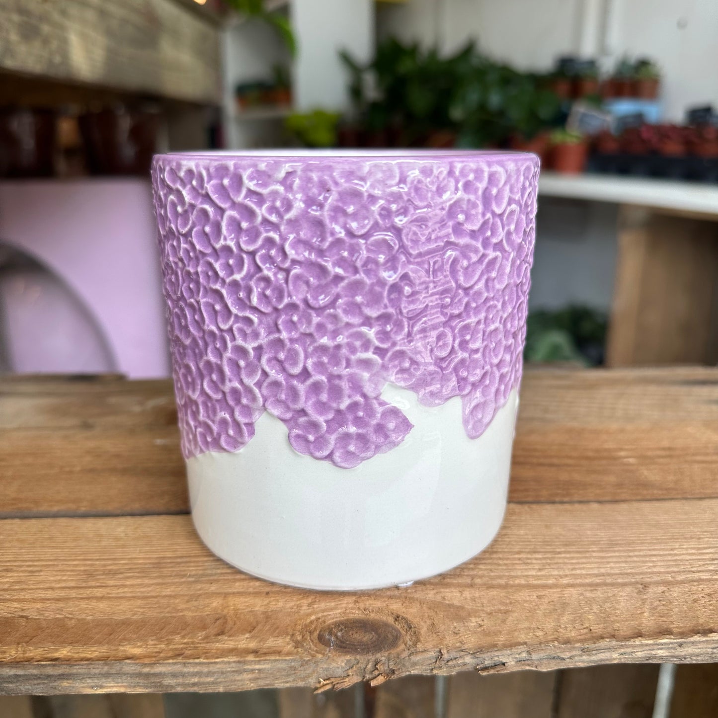 Purple Bloom Pot 9cm