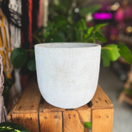 Large White Brushed Ceramic Pot 16cm