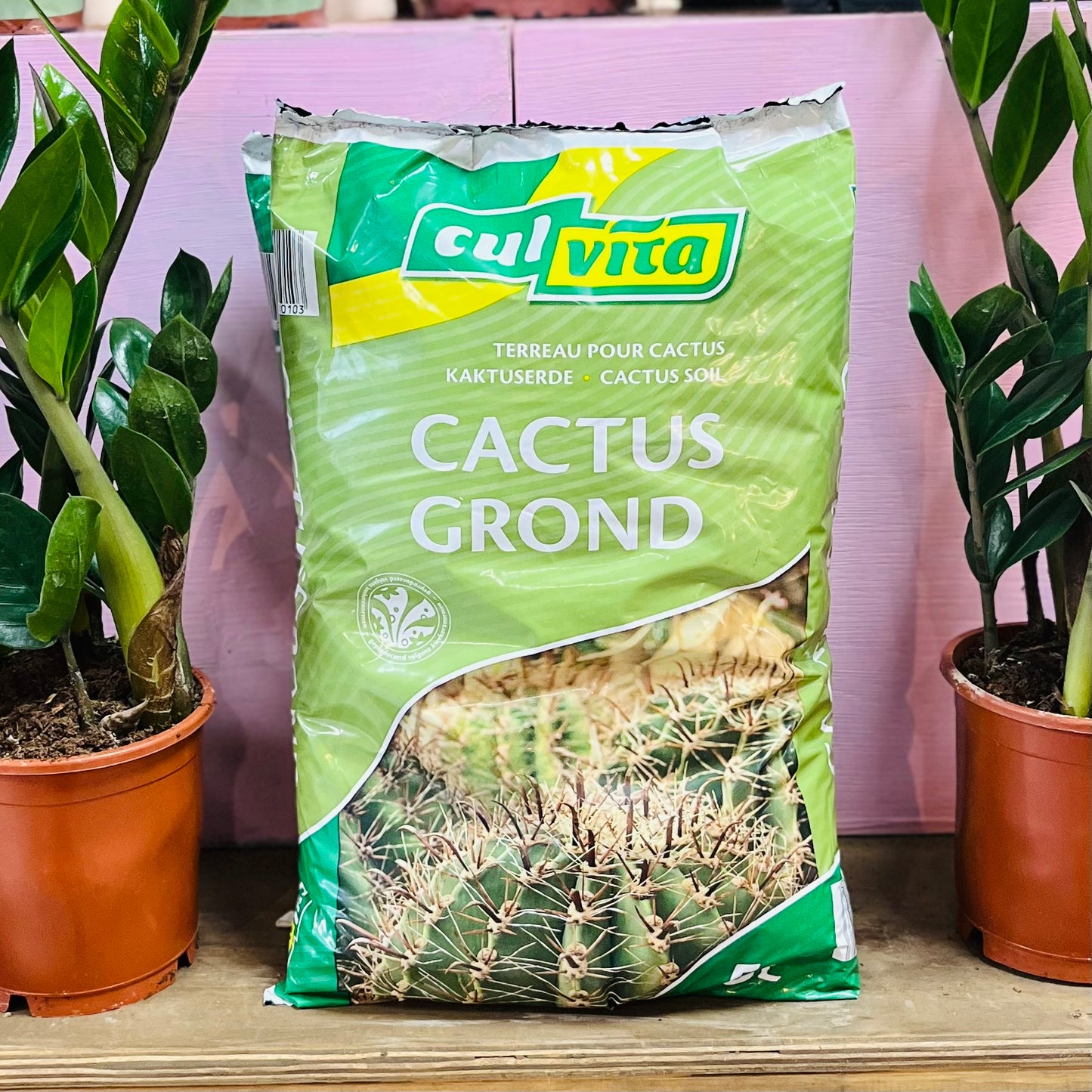 Cactus Soil 5 Litres