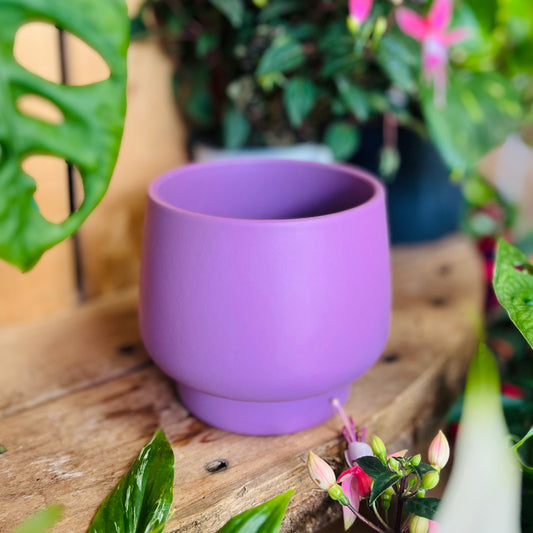 Purple Matte Planter 10cm