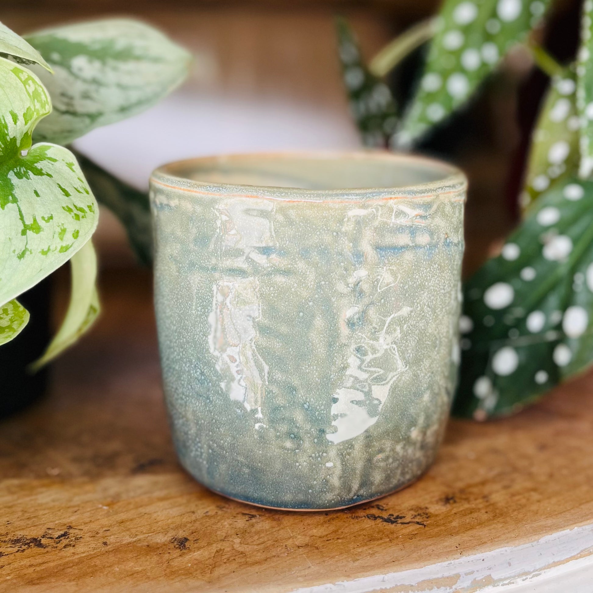 Ceramic cup with a textured surface on a wooden surface with plants in the background
