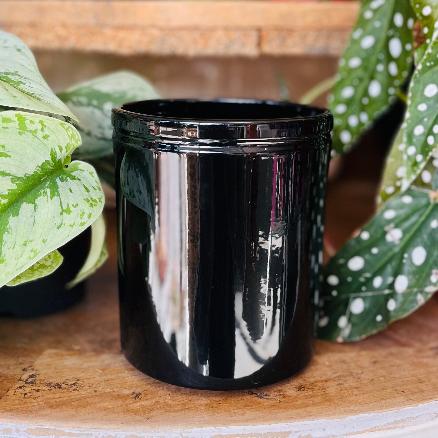 Black cylindrical Plant Pot on a wooden surface with green leafy plants in the background