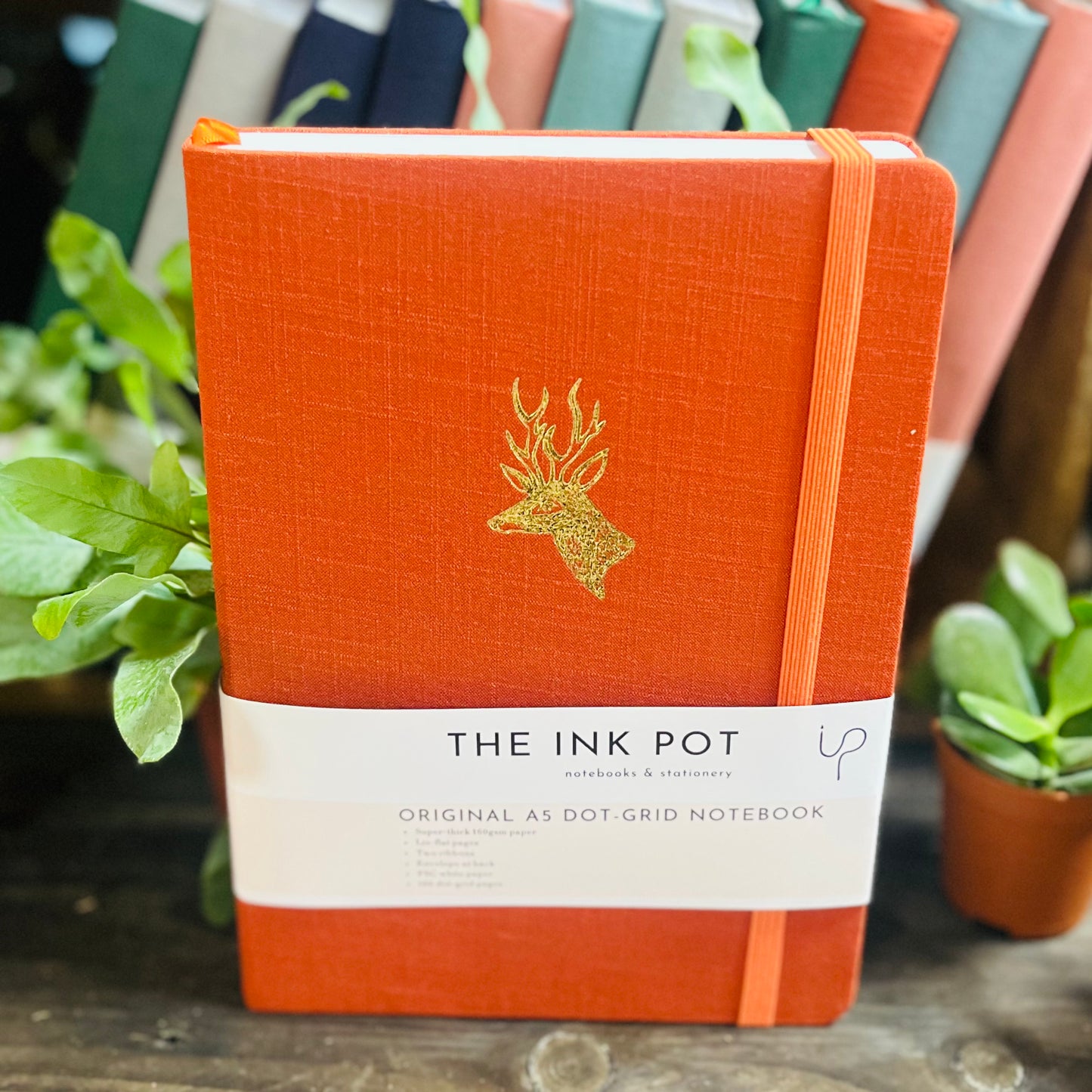 Burnt Orange Dotted Bullet Journal