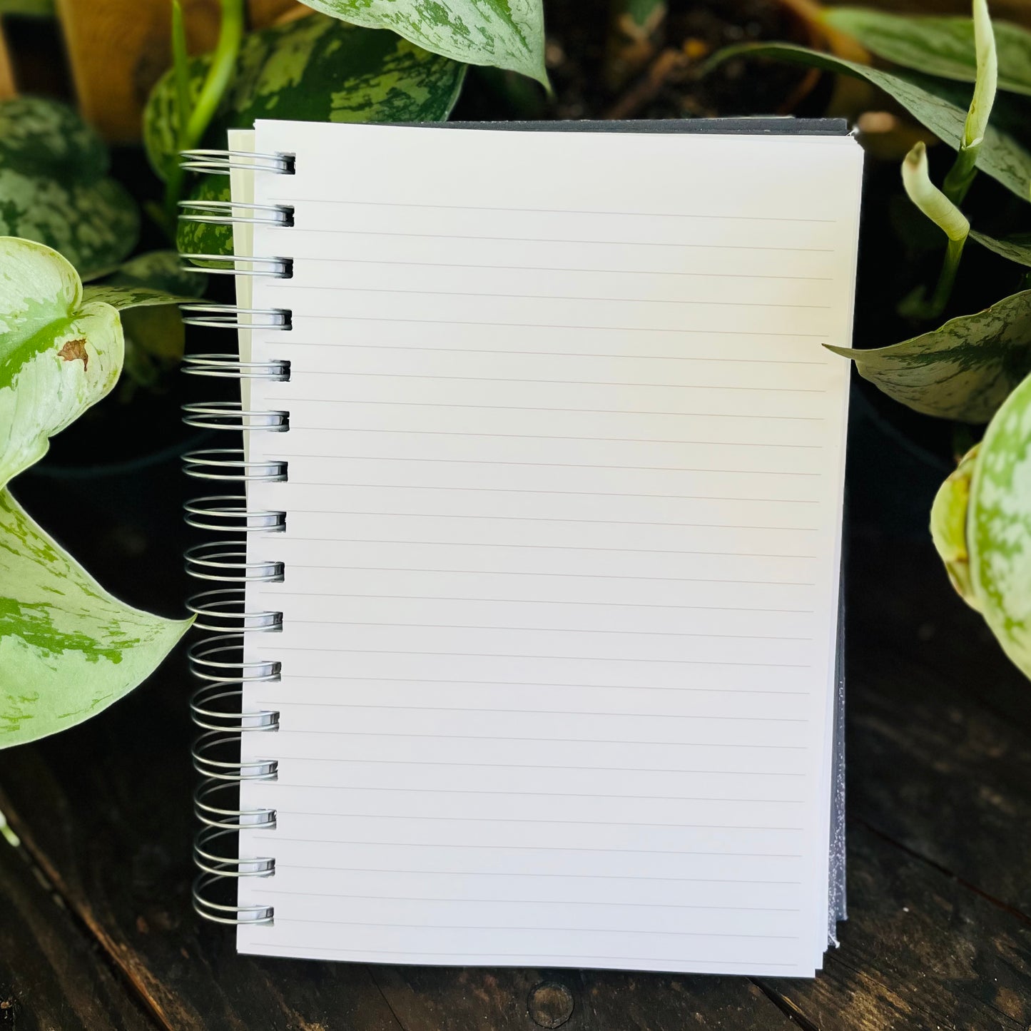 Some Of My 6000 Thoughts Journal