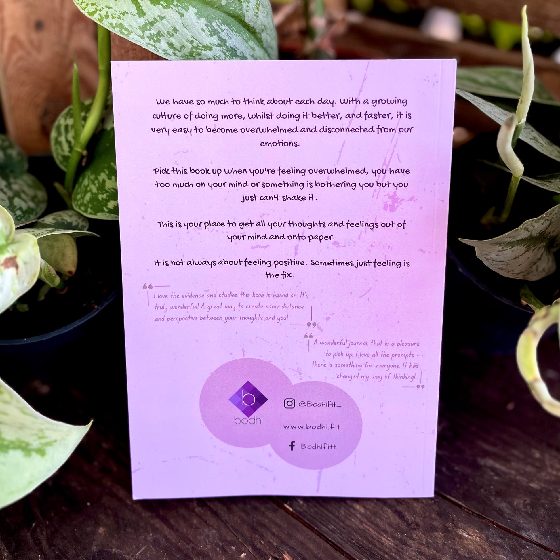 Purple leaflet with text on a wooden surface surrounded by plants
