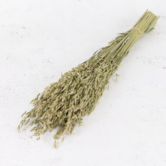 Natural Oat Bunch