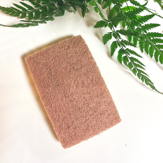 Biodegradable Compostable Sponge