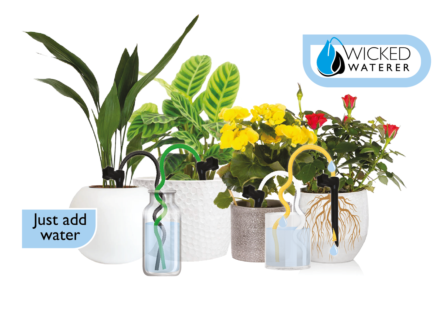 4 Spike Indoor plant water kit