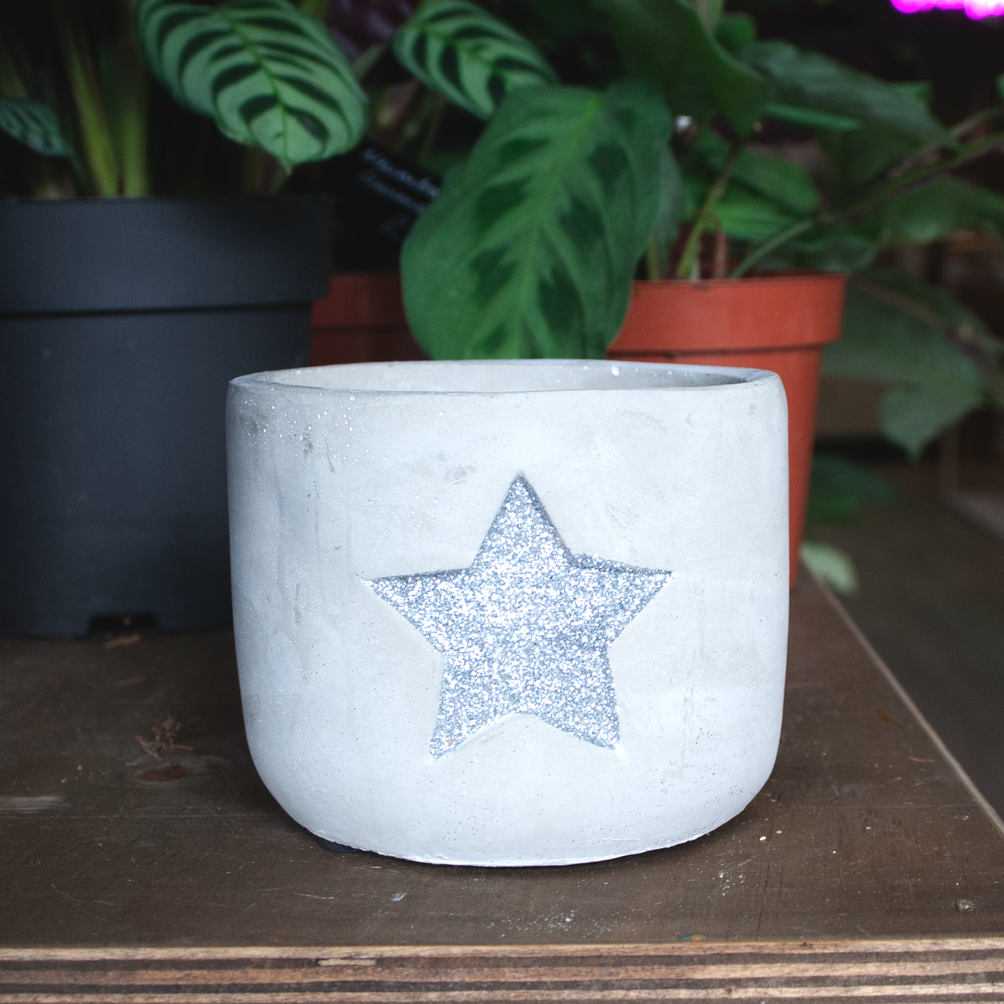 Silver Star Pot (10cm diameter)