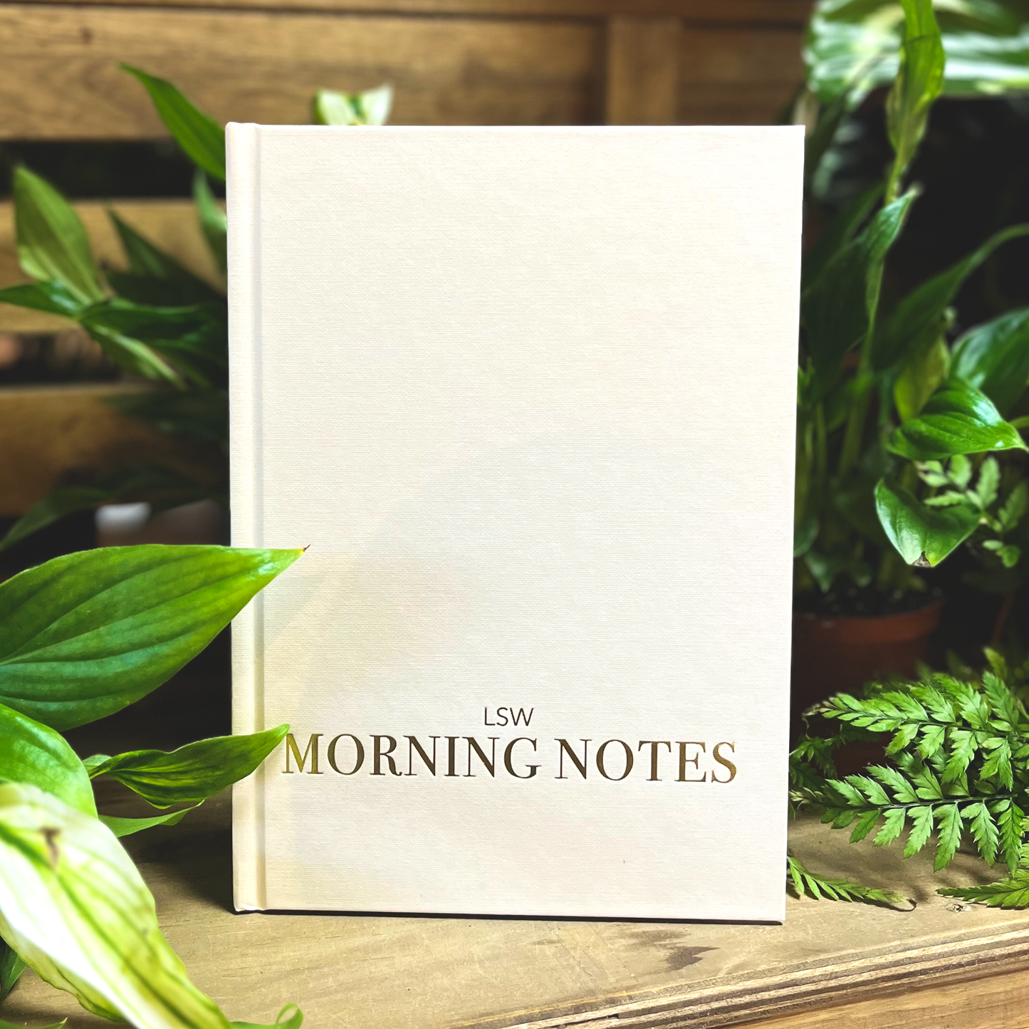 Morning Notes: Wellbeing Journal | Christmas Gift