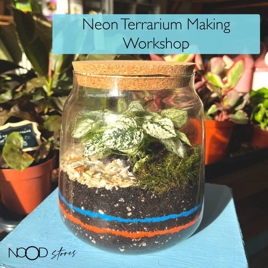 Neon Terrarium Making Workshop