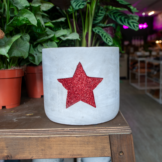 Red Star Pot (16cm diameter)