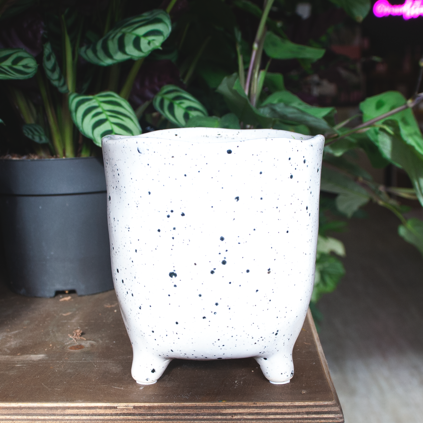 Speckled Plant Pot on legs