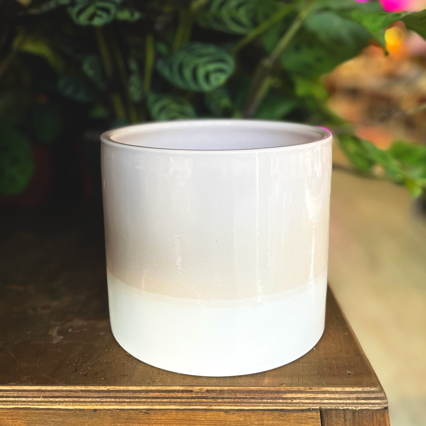 Pale Two-tone Ceramic Pot