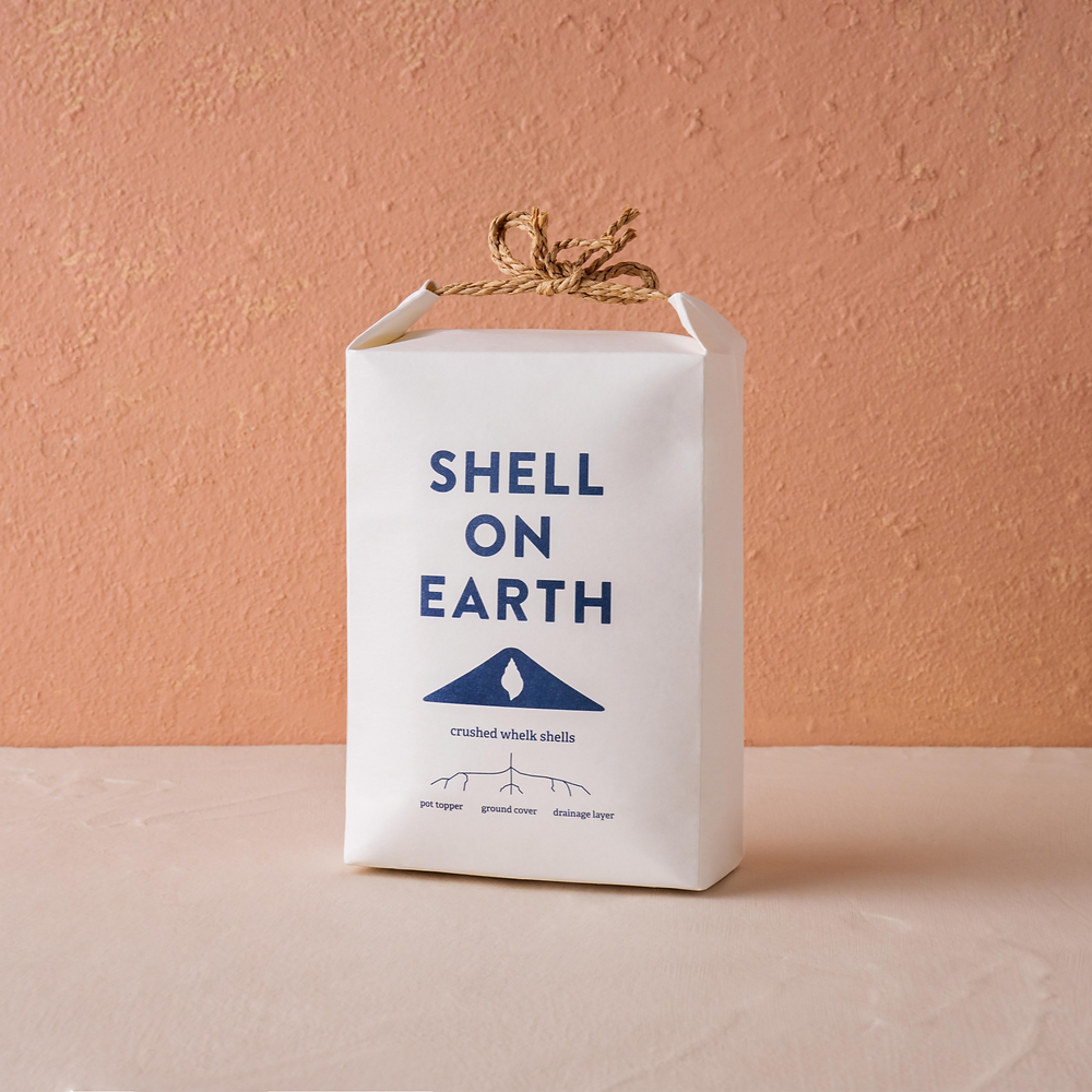 Shell On Earth - Crushed Whelk Shells